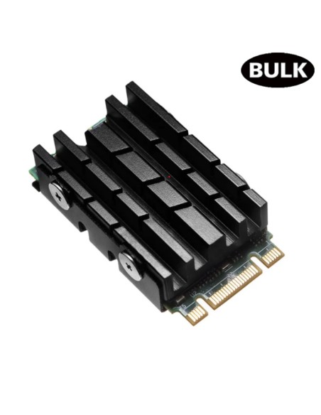 DISCO M.2 256GB NVME NANO CON  DISIPADOR SIN ADAPTADOR BULK PN: REA3985 EAN: 1000000003985   
