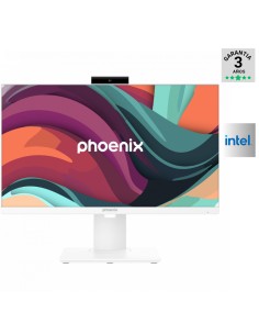 257402 AIOMF 23.8" PHOENIX PN: GDX 3133 EAN:...